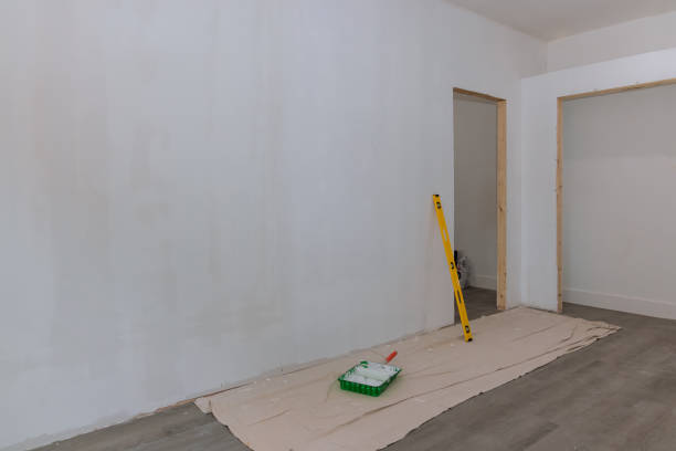 Best Attic Mold Removal  in Trinity, TX