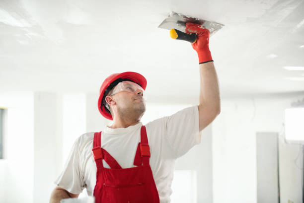 Best Water Damage & Mold Remediation  in Trinity, TX