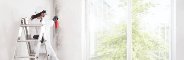  Trinity, TX Mold Removal Pros